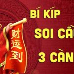 dự đoán chuẩn cặp 3 càng víp mb